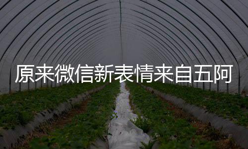微信看后自五新表发问原来有朋幽默苏阿哥情来